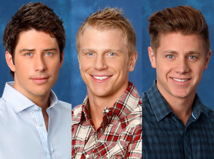 The Bachelorette Season 8